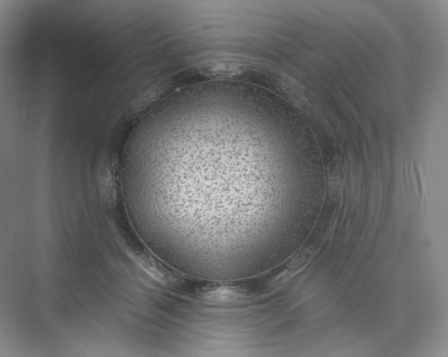 X0000075870460200609291618