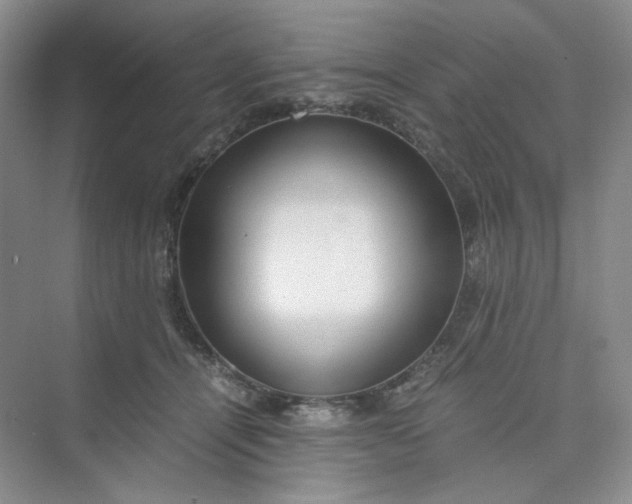 X0000075870464200609291618