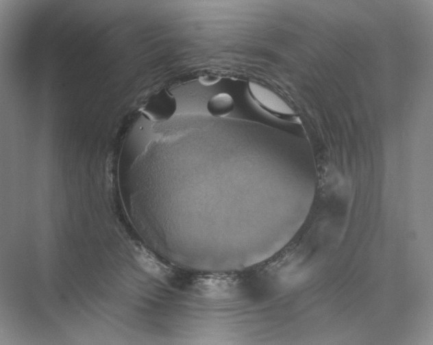 X0000075870466200609291618