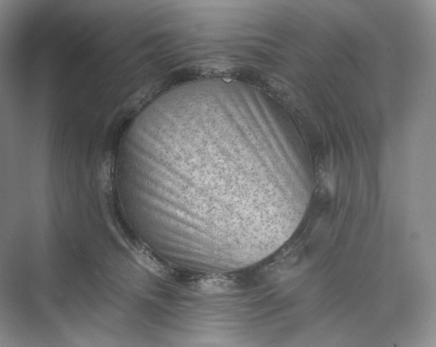 X0000075870468200609291618