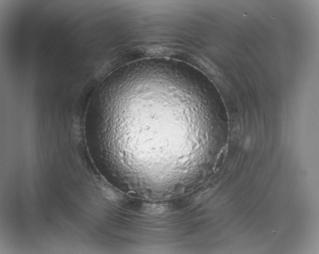 X0000075870469200609291618