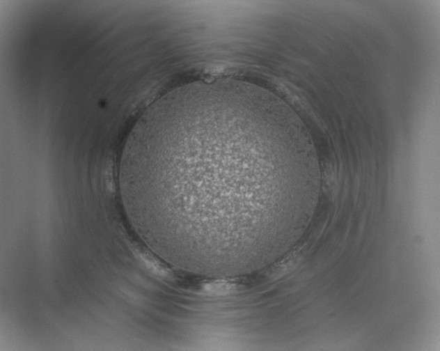 X0000075870470200609291618