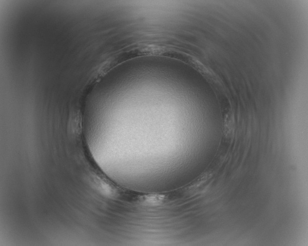 X0000075870474200609291618