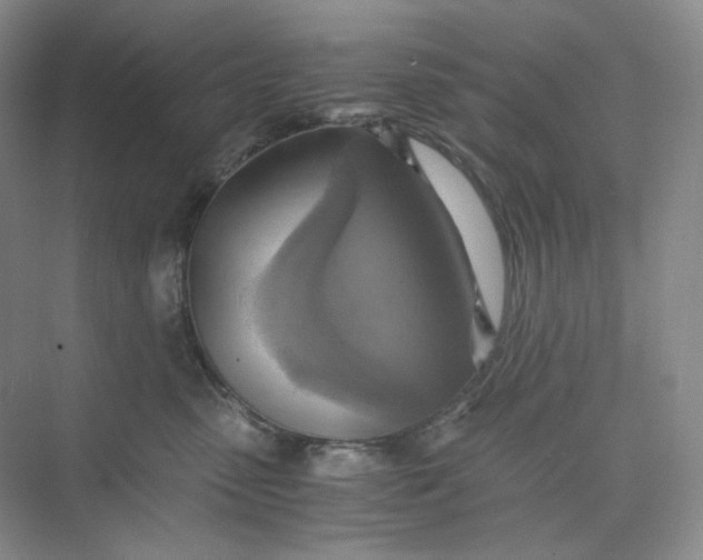 X0000075870475200609291618