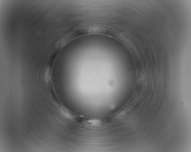 X0000075870478200609291619