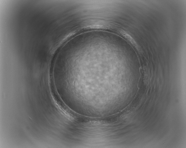 X0000075870482200609291618