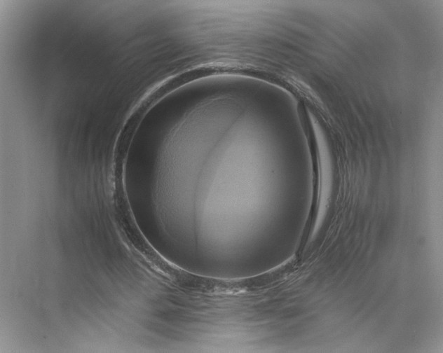 X0000075870484200609291618