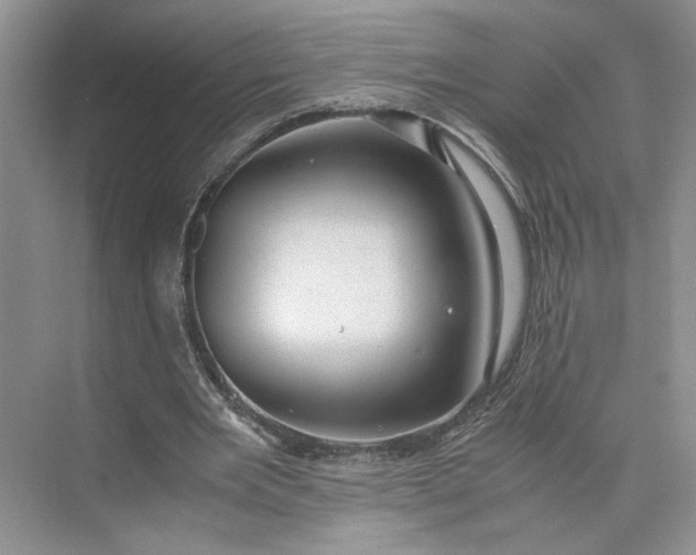 X0000075870485200609291618