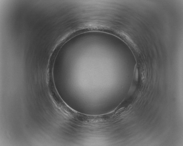 X0000075870488200609291618