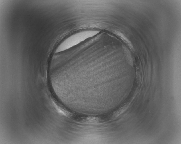 X0000075870493200609291618