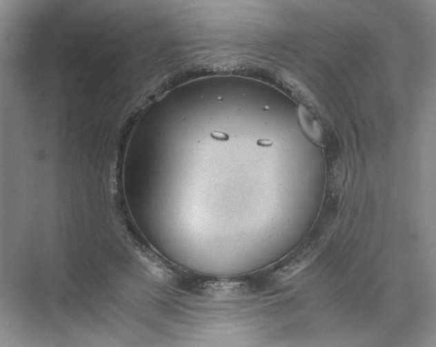 X0000075870497200609291617