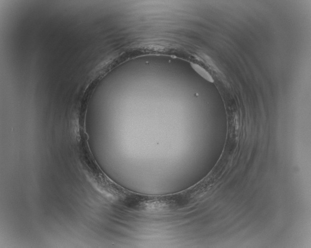 X0000075870500200609291617