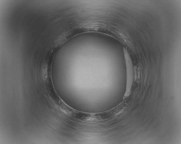X0000075870504200609291617