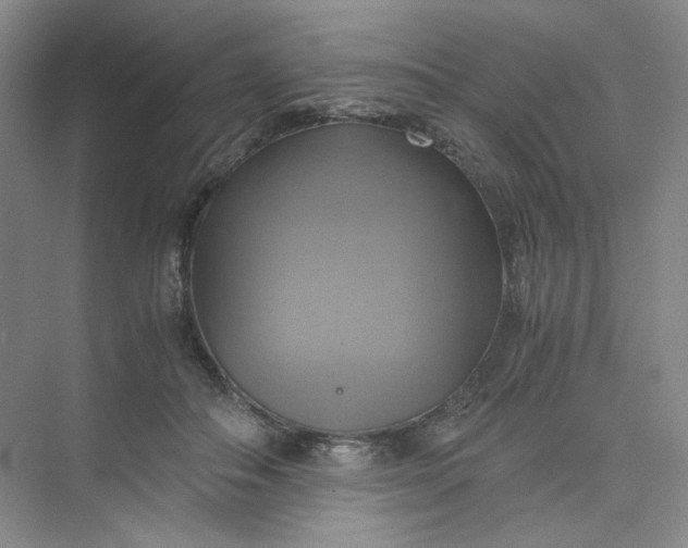 X0000075870506200609291617
