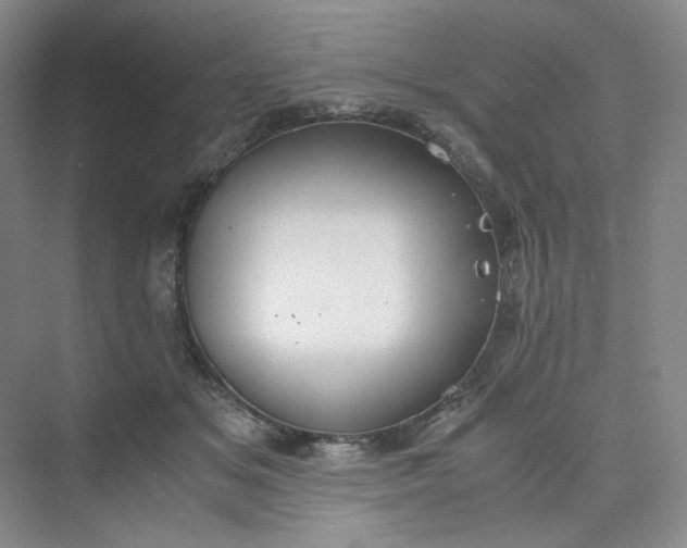 X0000075870509200609291617