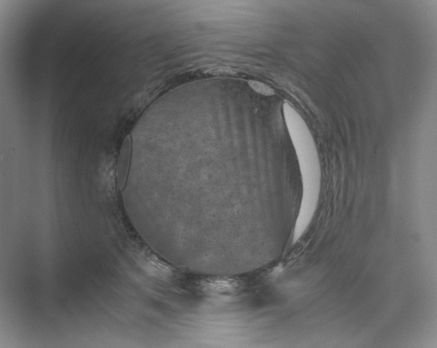 X0000075870513200609291617