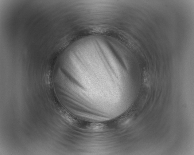 X0000075870514200609291617