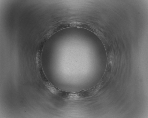 X0000075870519200609291617