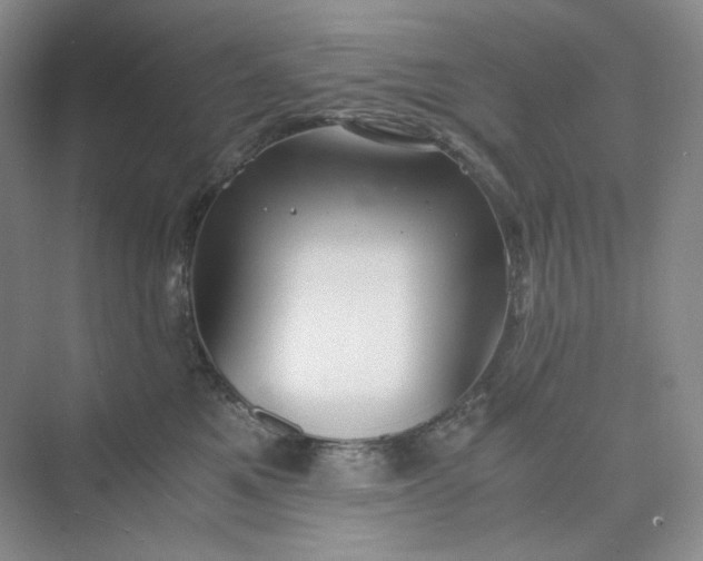 X0000075870521200609291617