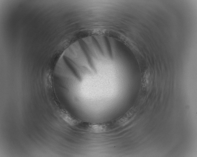 X0000075870522200609291617