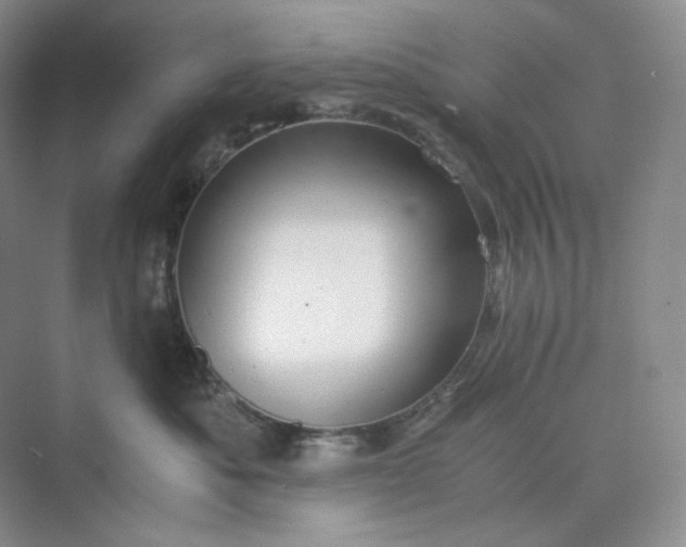 X0000075870525200609291617