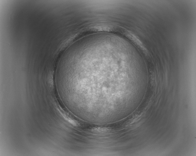 X0000075870537200609291616