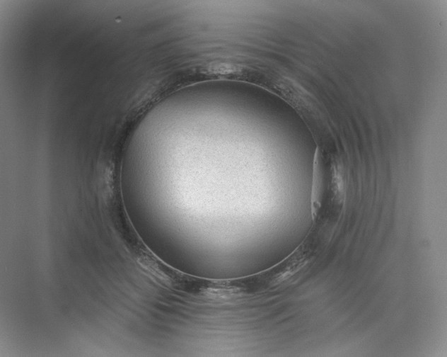 X0000075870556200609291617