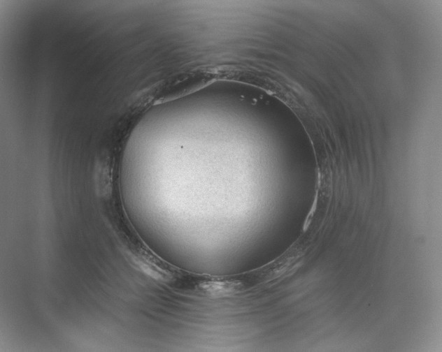 X0000075870558200609291617