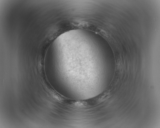 X0000075870566200609291617