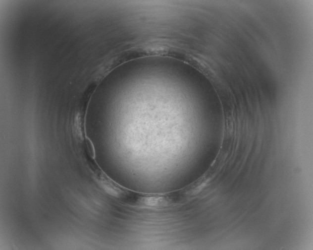 X0000075870575200609291617