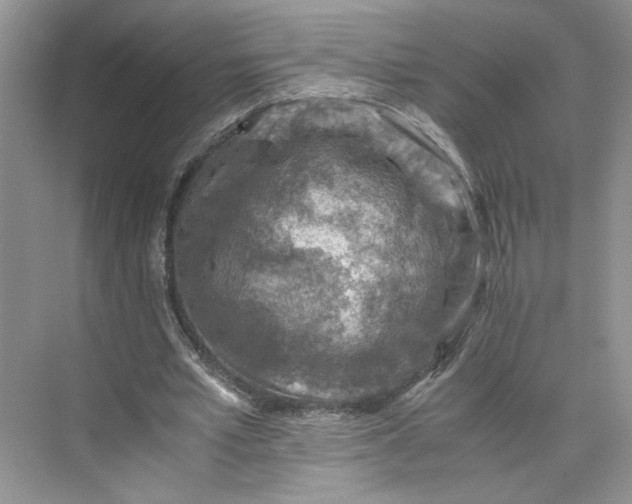 X0000075870581200609291616