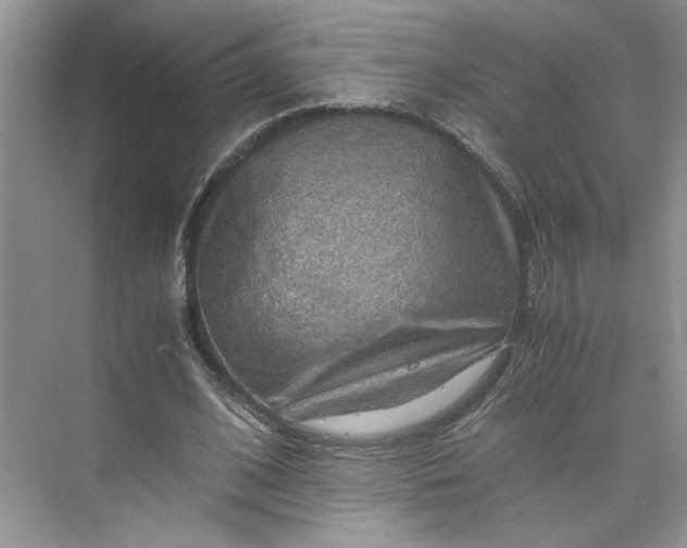 X0000075870584200609291616