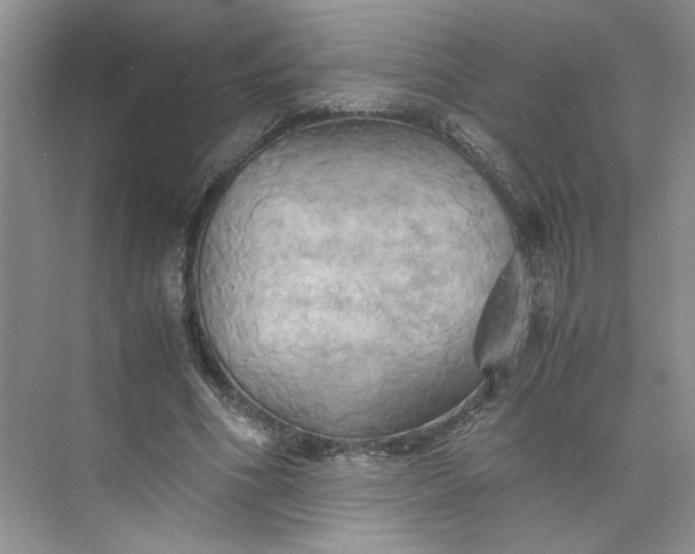 X0000075870586200609291616