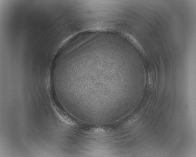 X0000075870588200609291616