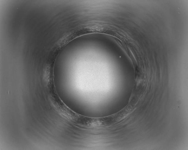 X0000075870600200609291616