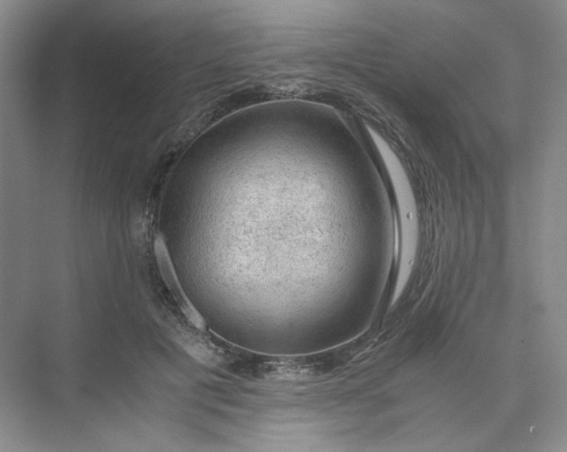 X0000075870601200609291616