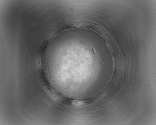 X0000075870602200609291616