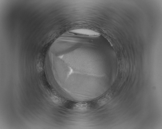X0000075870606200609291616