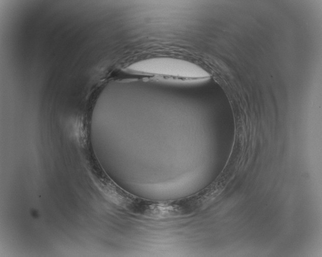 X0000075870607200609291616