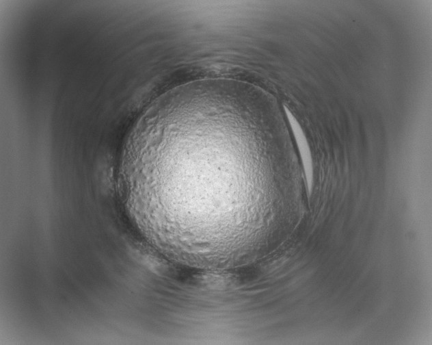 X0000075870615200609291615