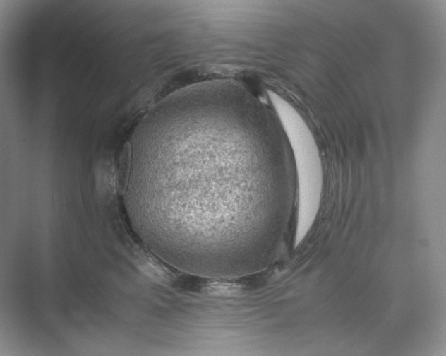 X0000075870617200609291615