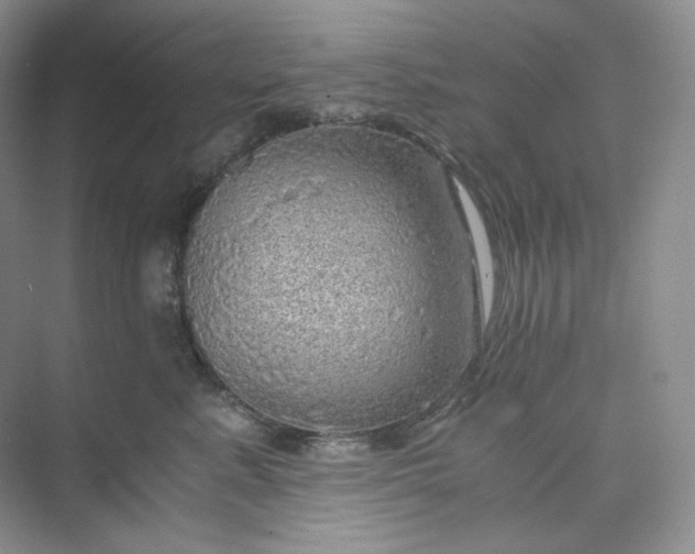 X0000075870619200609291615