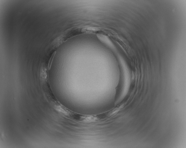 X0000075870621200609291615