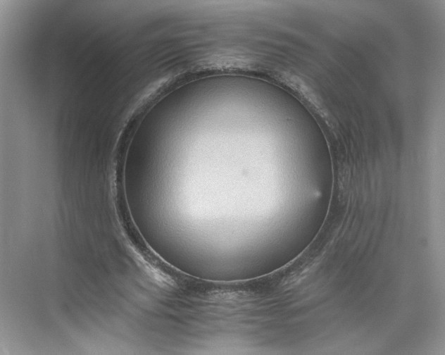 X0000075870629200609291615