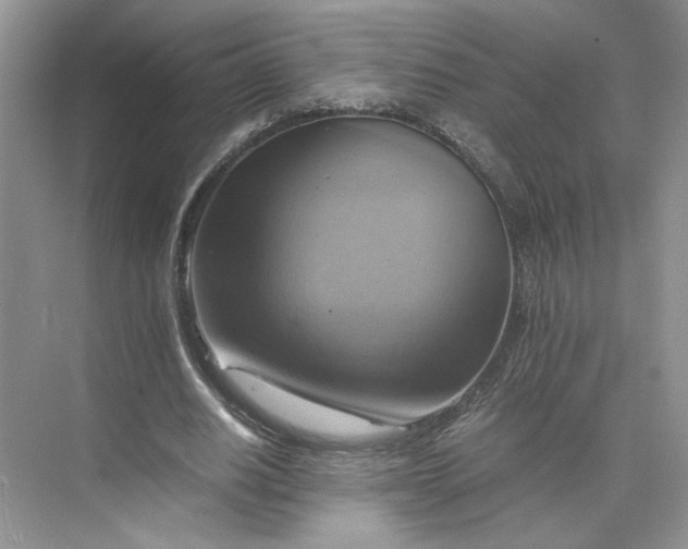 X0000075870630200609291615