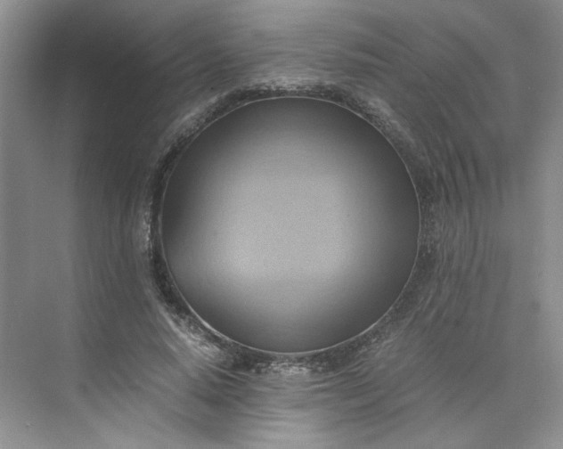X0000075870640200609291615