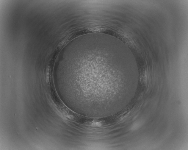 X0000075870647200609291615