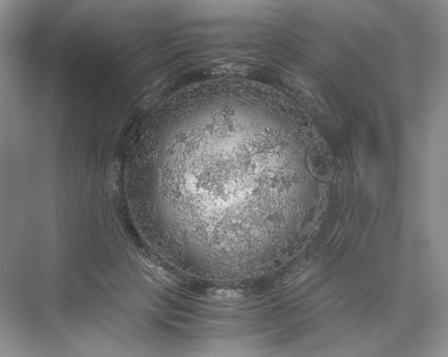 X0000075870649200609291615