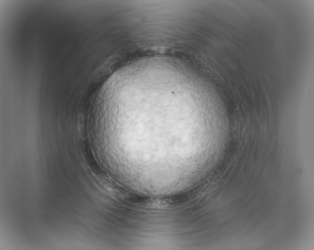 X0000075870656200609291615