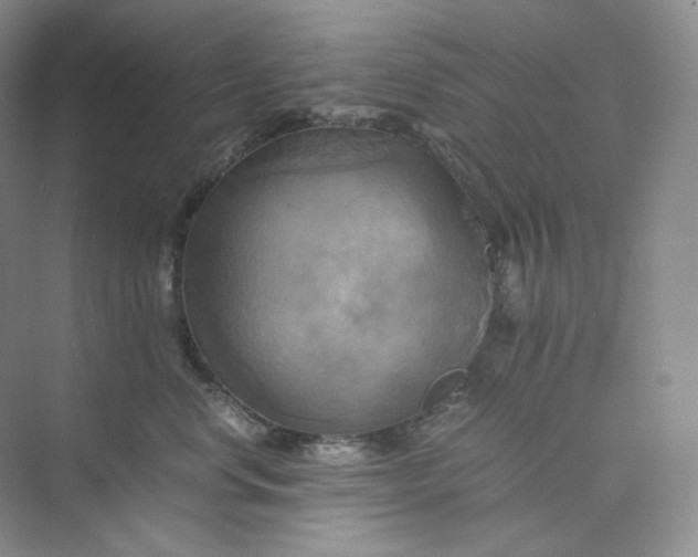 X0000075870668200609291615